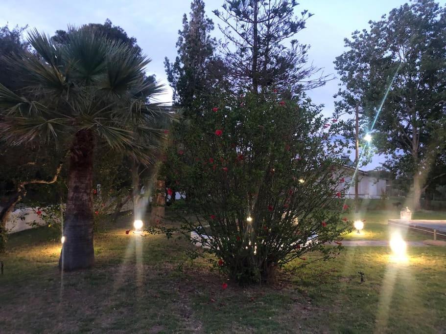 Villa Anastasia! In Strofylia Pine Forest!!! Manolas Bagian luar foto