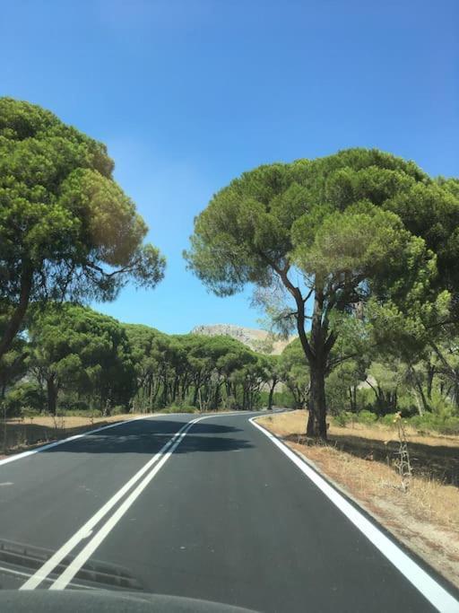 Villa Anastasia! In Strofylia Pine Forest!!! Manolas Bagian luar foto