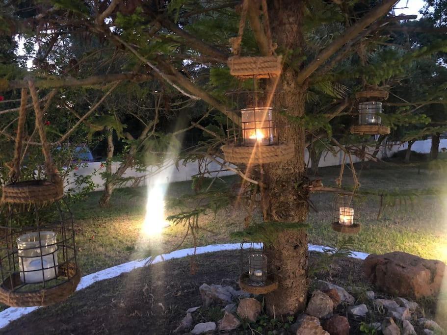 Villa Anastasia! In Strofylia Pine Forest!!! Manolas Bagian luar foto