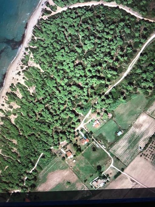 Villa Anastasia! In Strofylia Pine Forest!!! Manolas Bagian luar foto