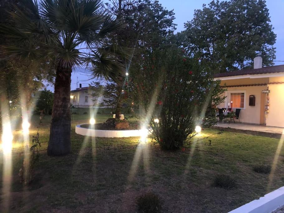 Villa Anastasia! In Strofylia Pine Forest!!! Manolas Bagian luar foto
